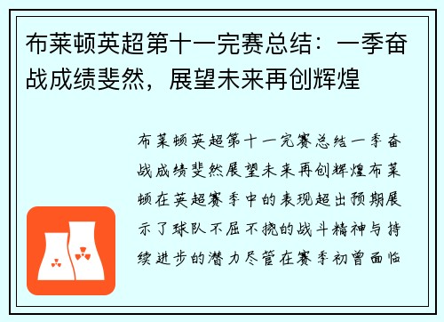 布莱顿英超第十一完赛总结：一季奋战成绩斐然，展望未来再创辉煌